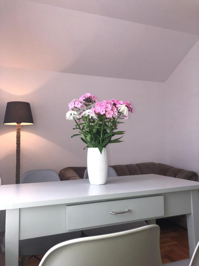 Apartament Lapacz Snow Tylicz Exterior foto
